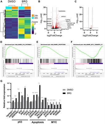 Frontiers Selective Vulnerability Of Human Induced Pluripotent Stem